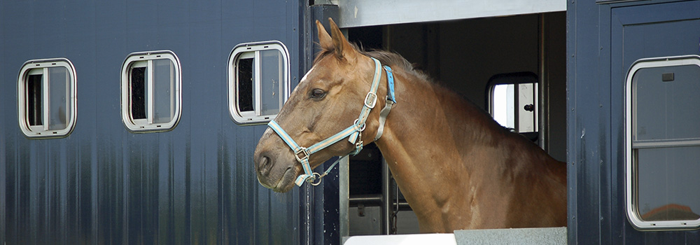 Horsebox Bodywork Re-Sprays